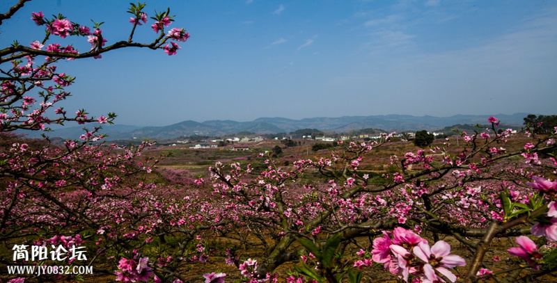 桃花故里-5-1-wl.jpg