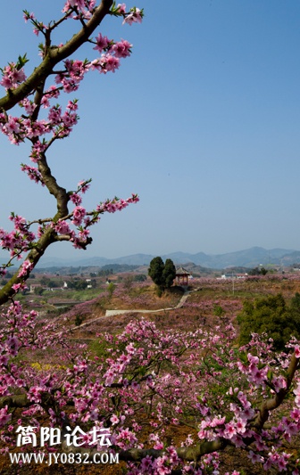 桃花故里-9-wl.jpg