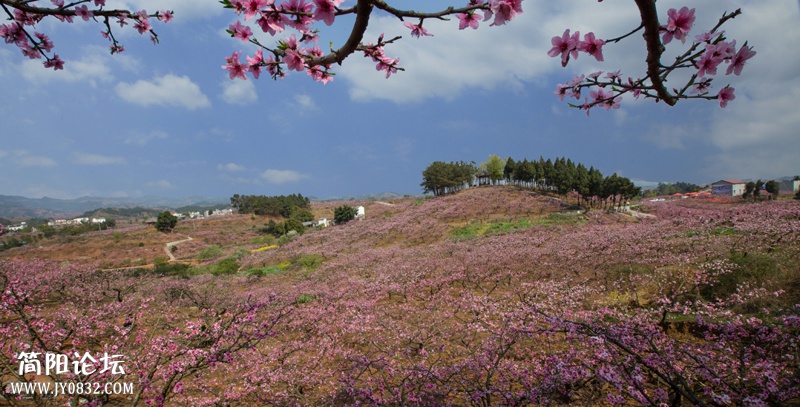 桃花故里-15-2-wl.jpg