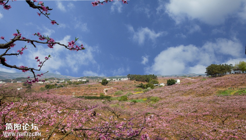 桃花故里-16-2-wl.jpg