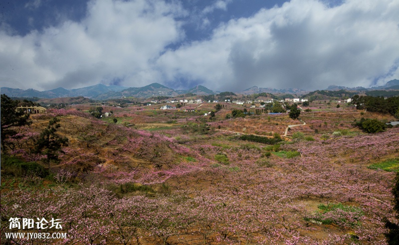 桃花故里-17-2-wl.jpg