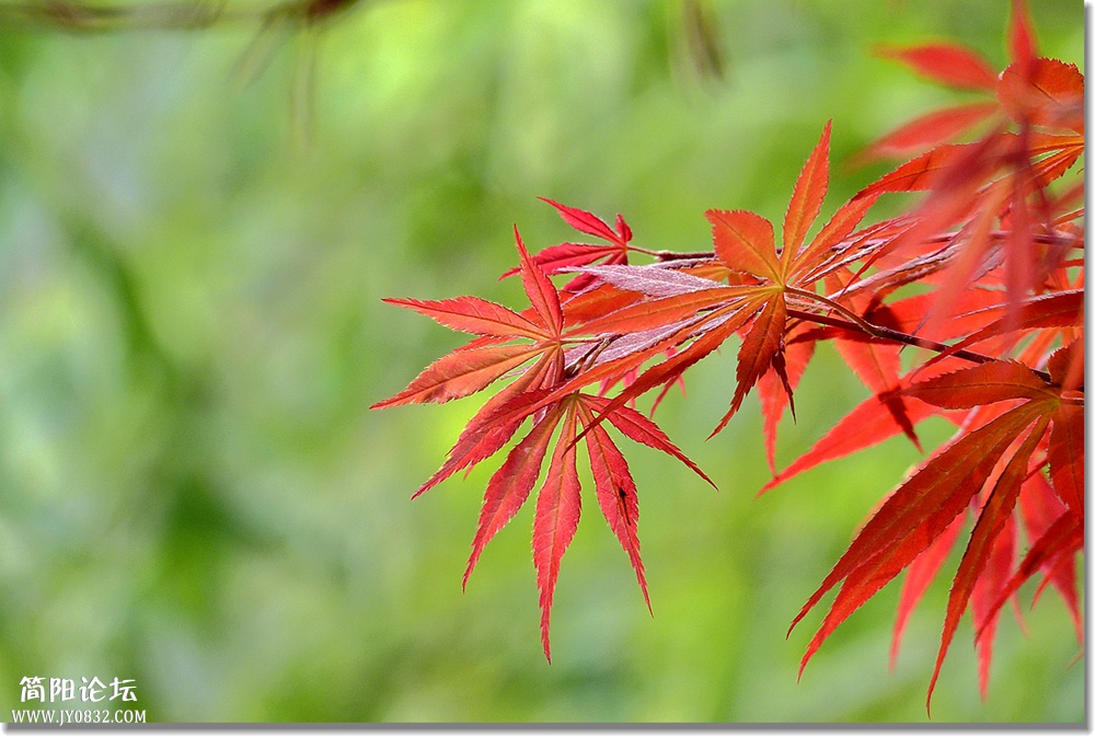 P1580408_副本0.jpg
