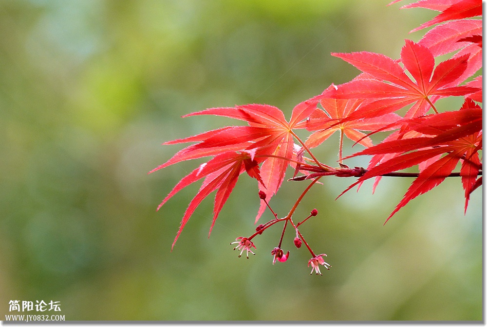 P1580496_副本0.jpg