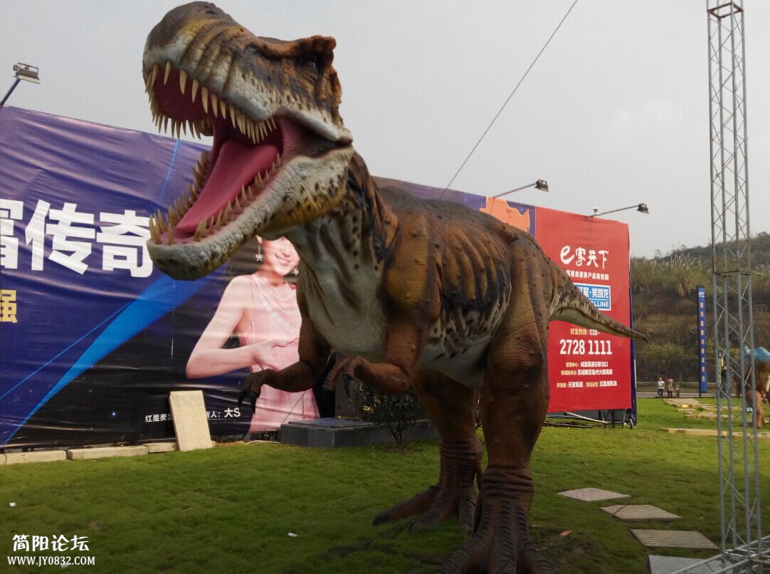 QQ图片20150329144613.jpg