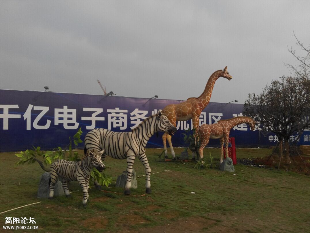 QQ图片20150329144642.jpg