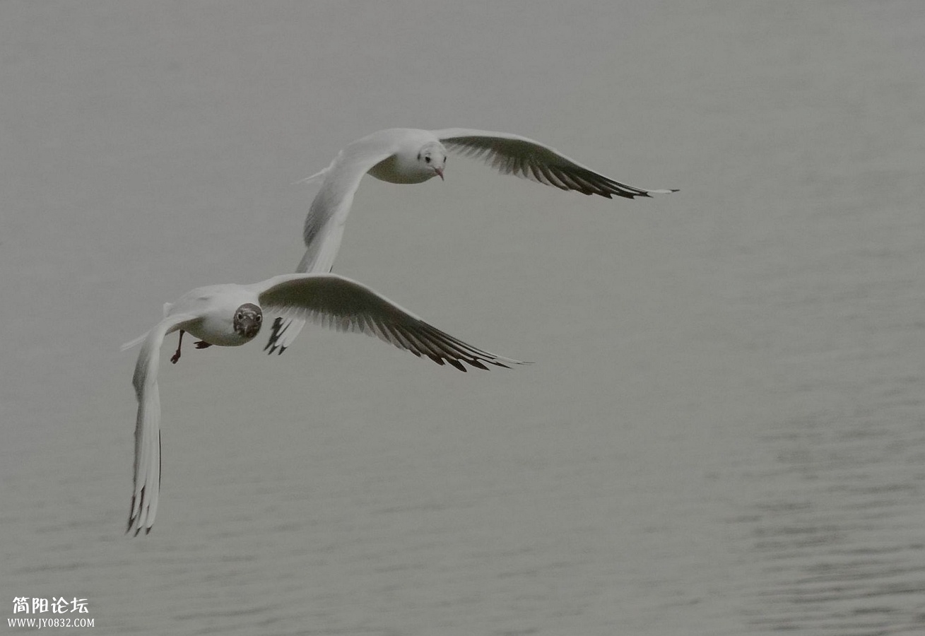 DSC_6647_副本_副本.jpg