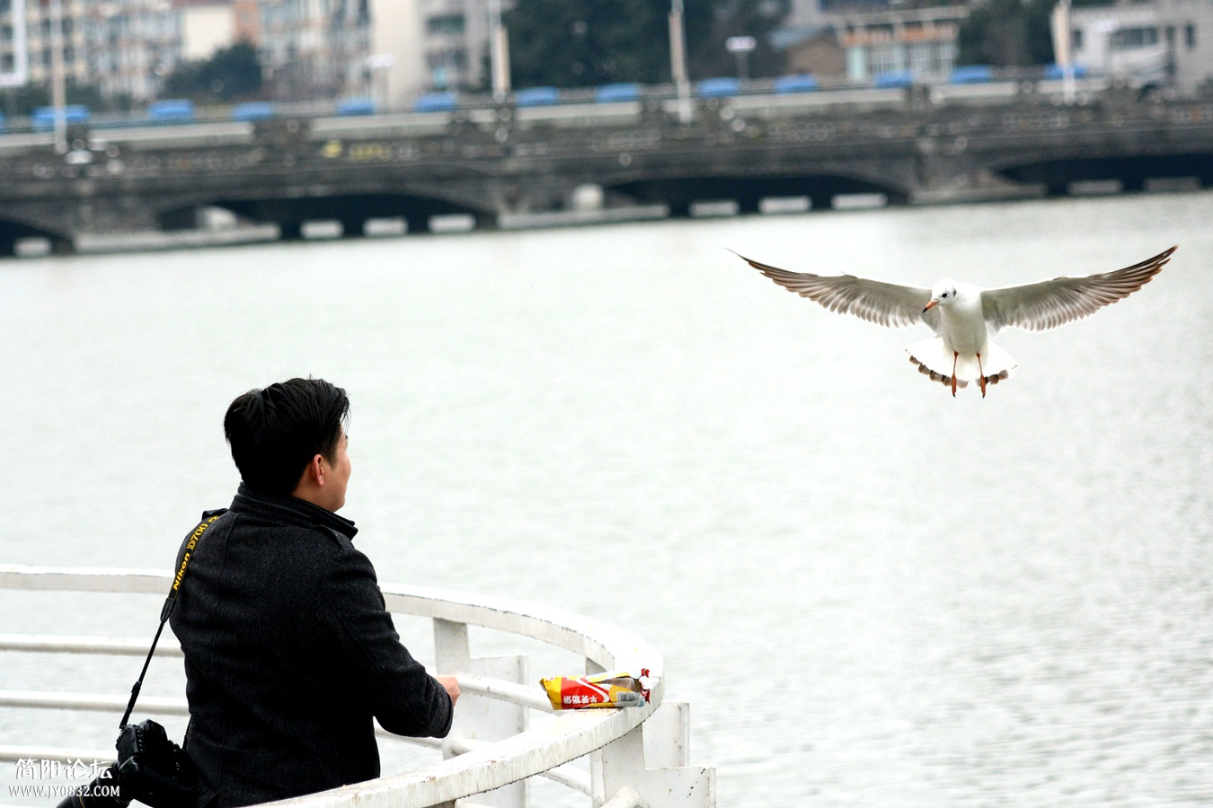 DSC_6773_副本_副本.jpg