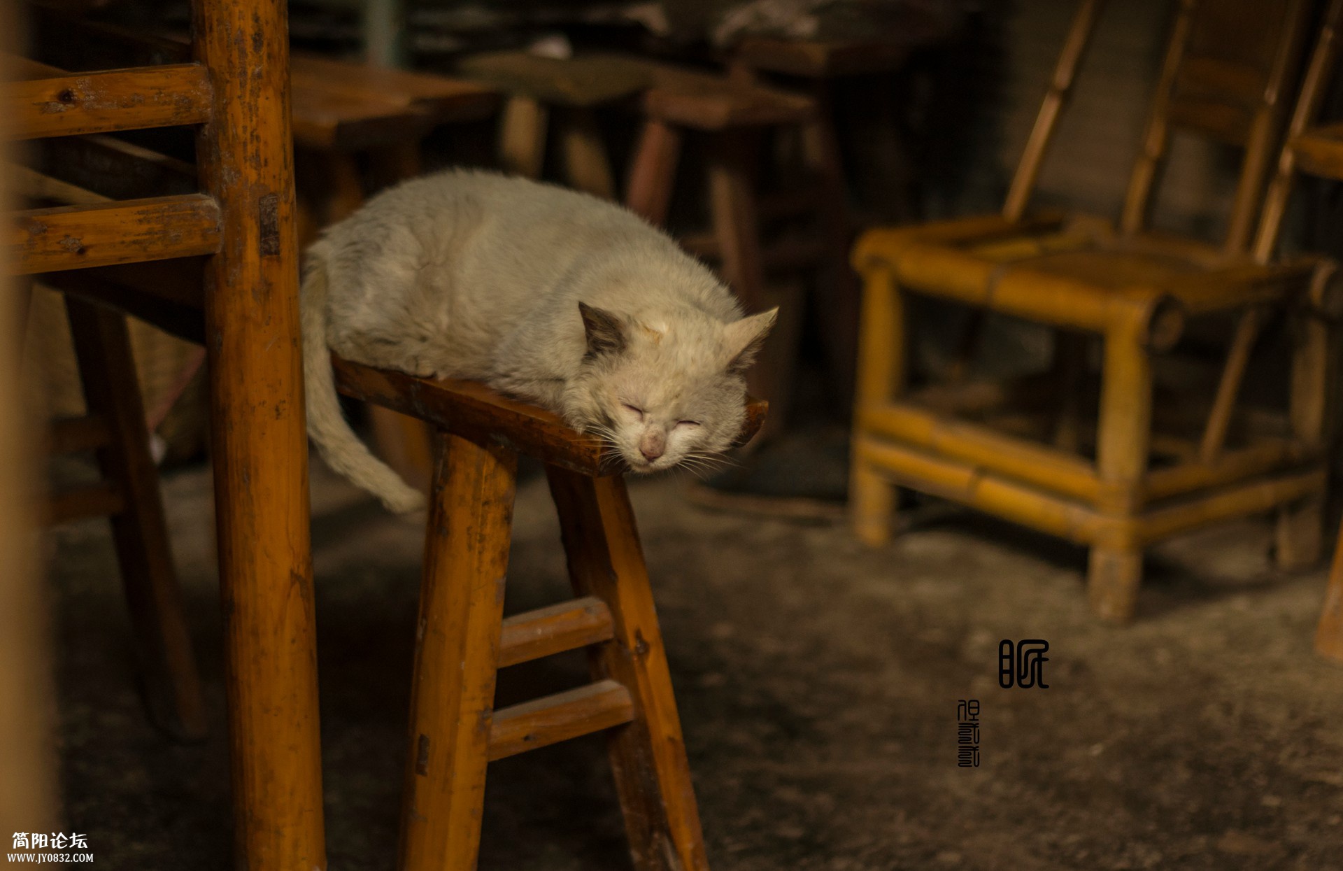 DSC_0168.jpg