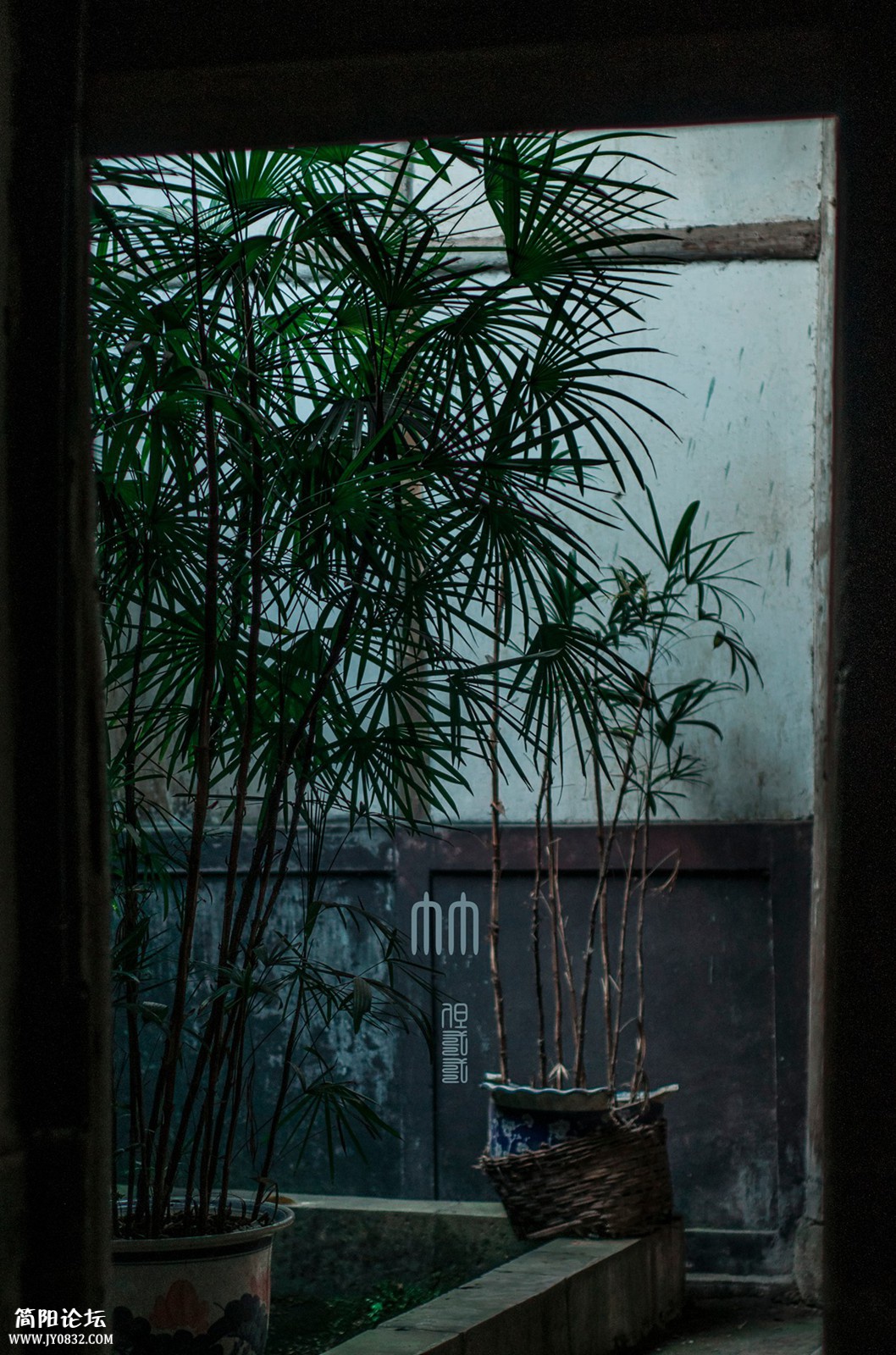 DSC_0157.jpg