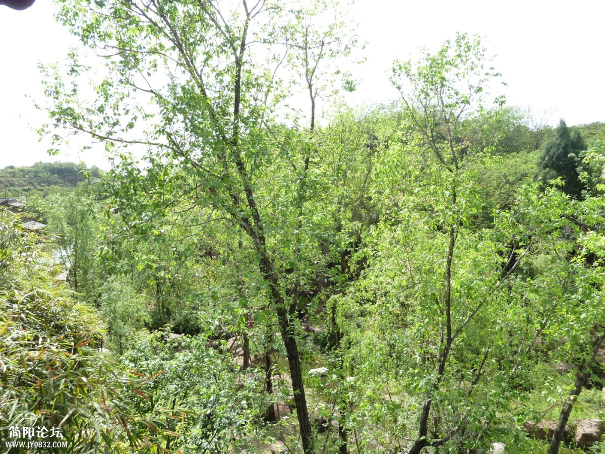 P1150587_副本.jpg