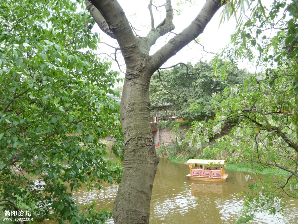 P1150665_副本.jpg