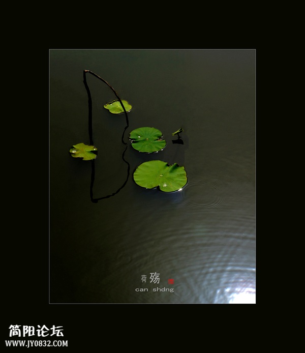 DSC01470ccc0.jpg