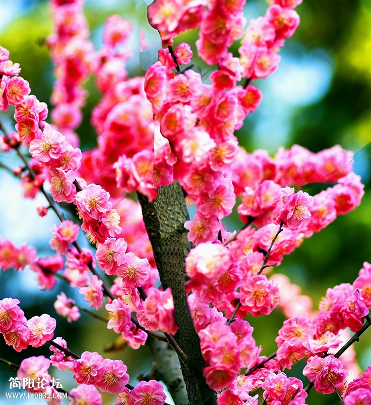 _DSC7928 副本.jpg