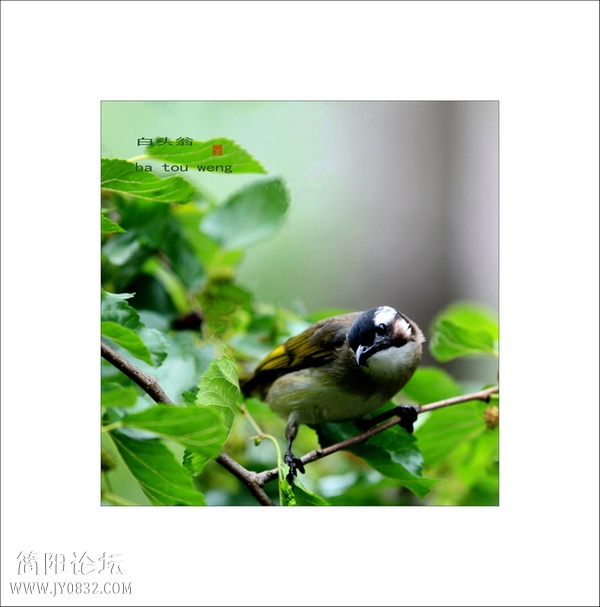 IMG_3167cccc0.jpg