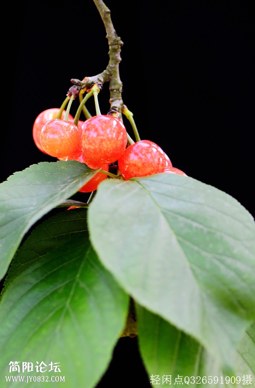 DSC_9858.JPG
