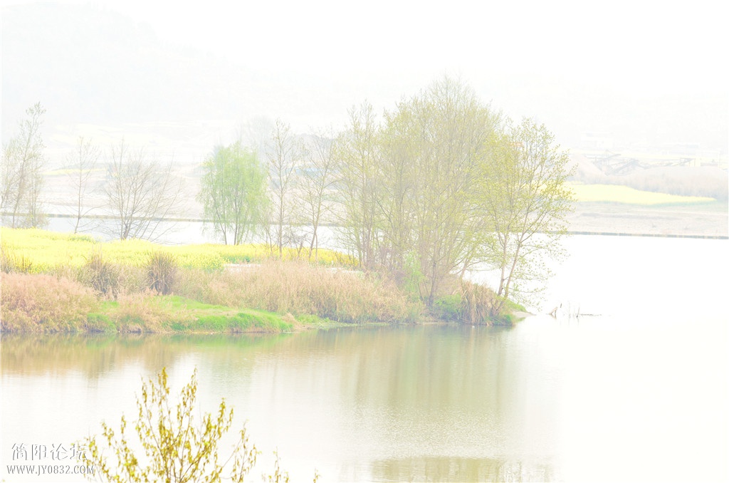 DSC_6766.jpg