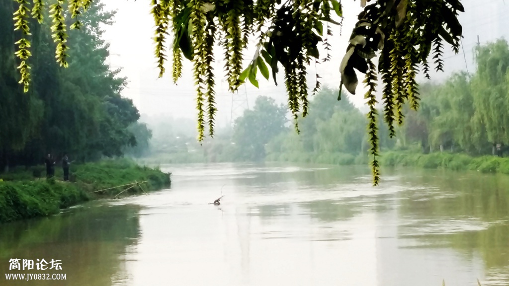 20150426_100538.jpg