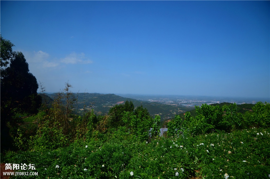 DSC_0473.jpg