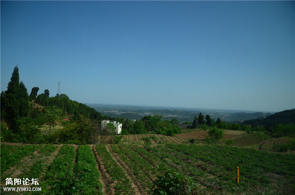 DSC_0492.jpg