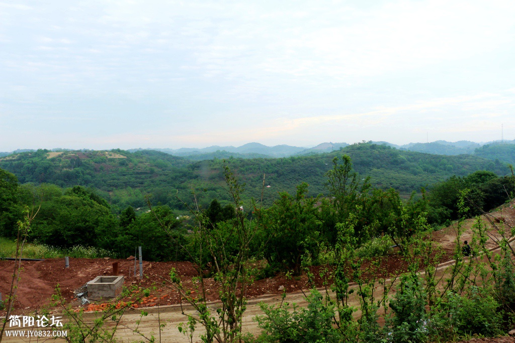IMG_9480.jpg