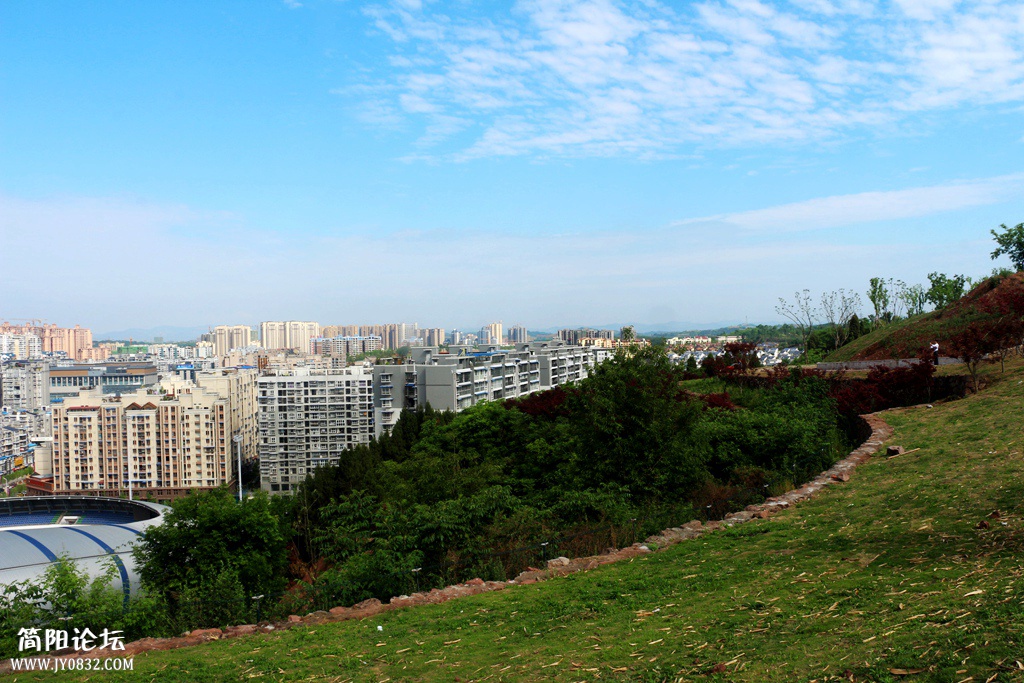 IMG_9533.jpg