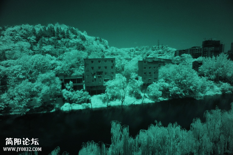 IR IMAGE (6).jpg
