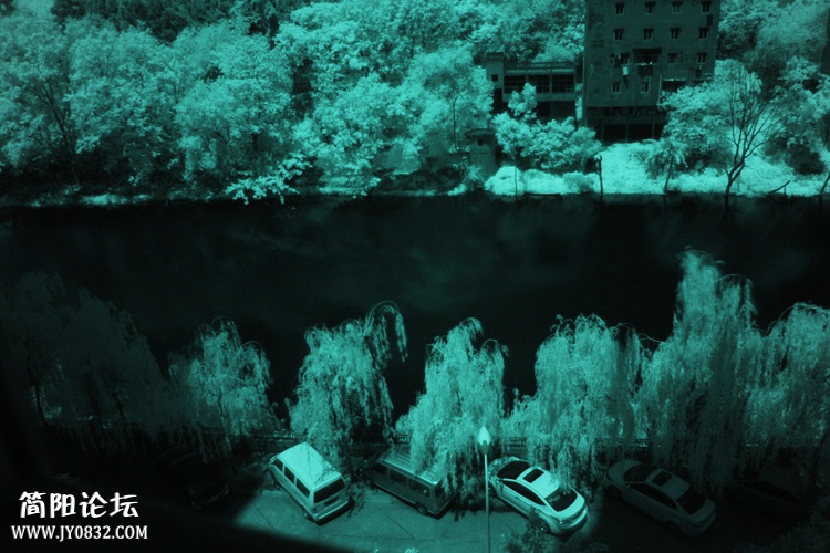 IR IMAGE (7).jpg