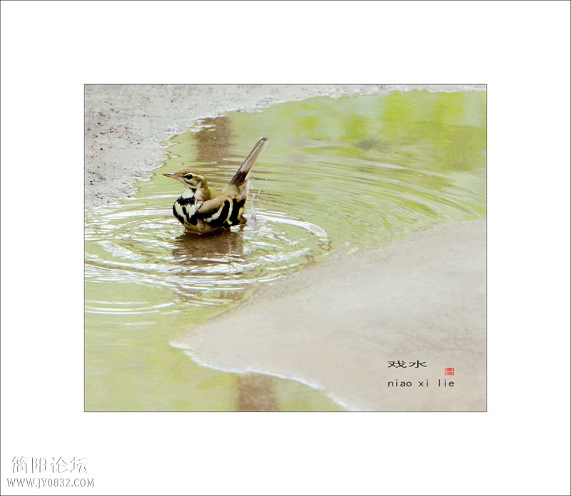 DSC03402bbbb_副本0.jpg