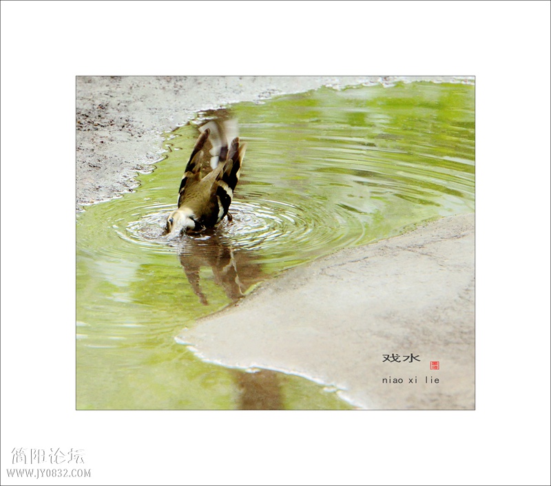DSC03398bbbbb_副本0.jpg