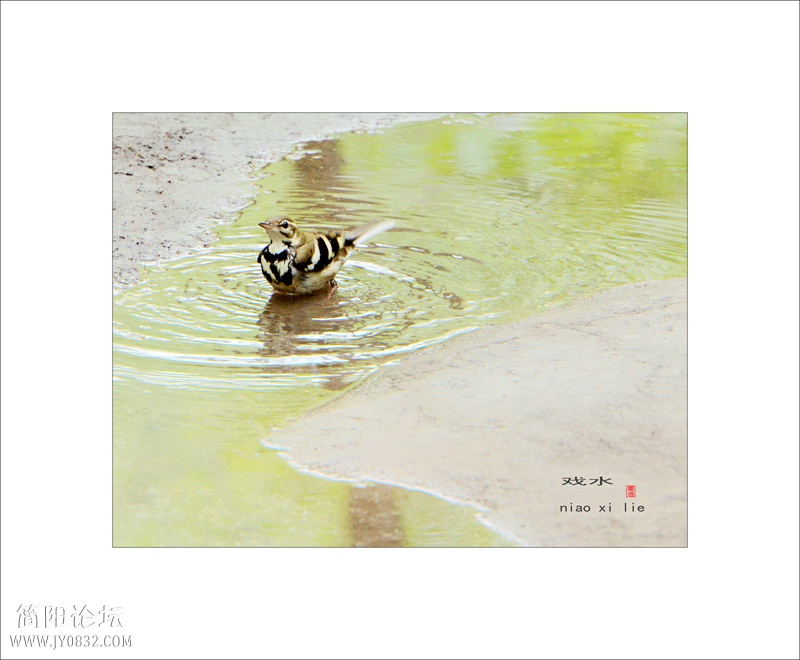 DSC03405bbbb_副本0.jpg