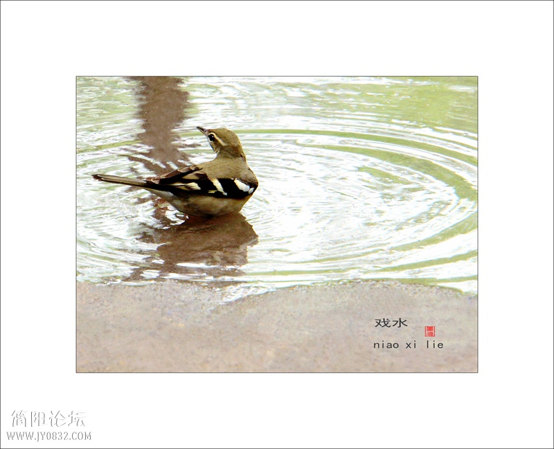 DSC03360bbbbb_副本0.jpg