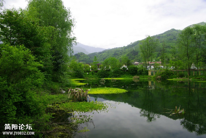 _IGP7930.JPG