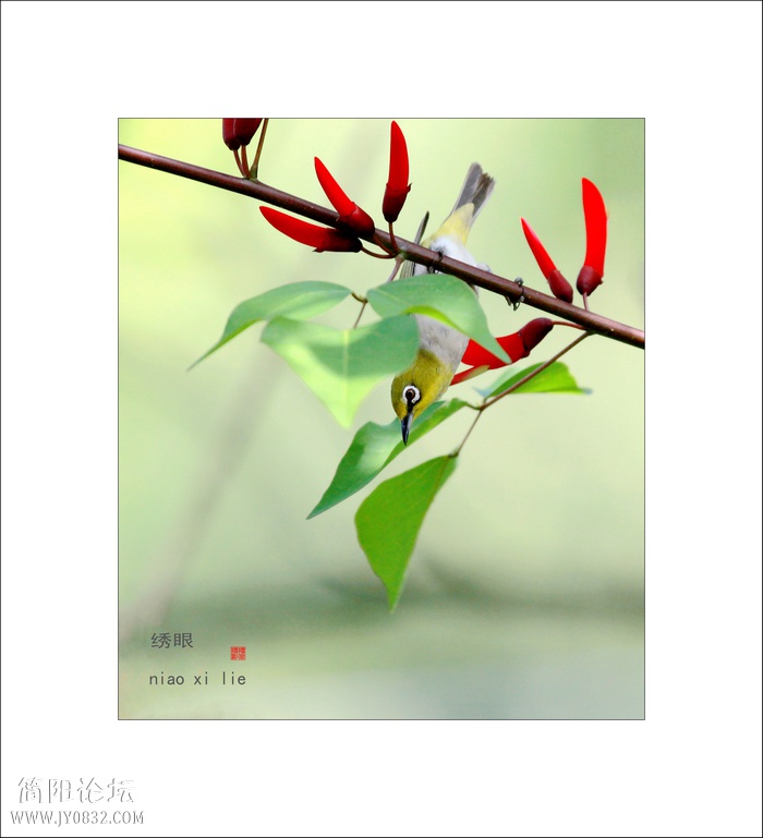 IMG_5856b0.jpg