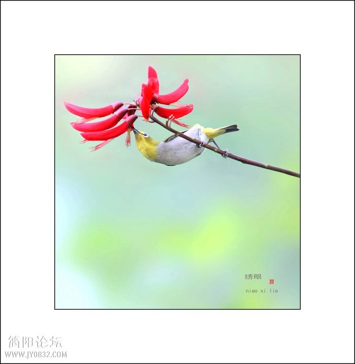 IMG_6855bbbb0.jpg
