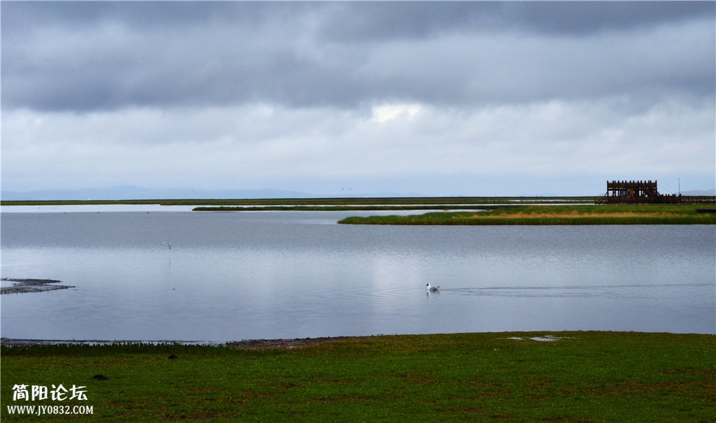 DSC_2639.jpg