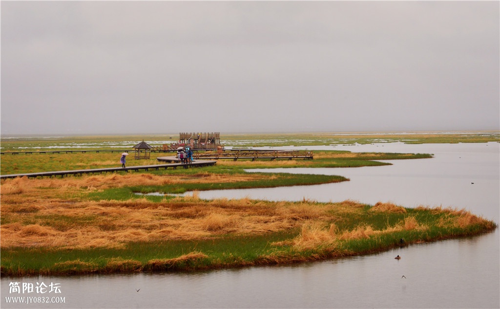 DSC_2557.jpg