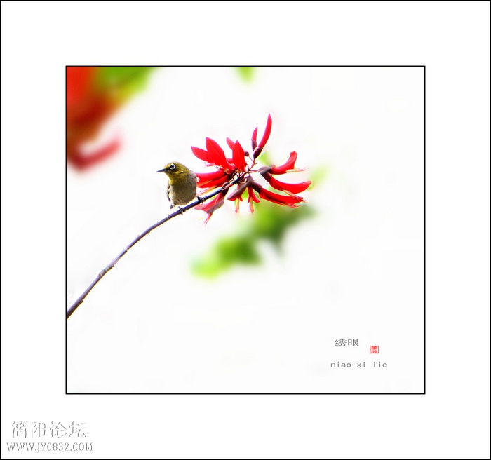 DSC05730b0.jpg