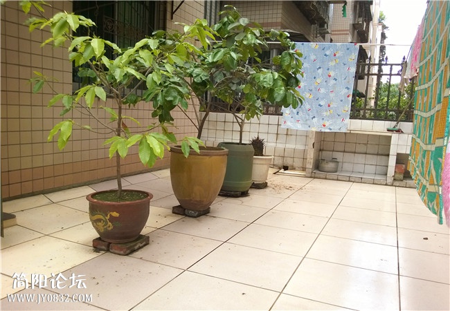 2015052949150609.jpg