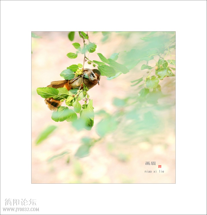 IMG_3636b0.jpg