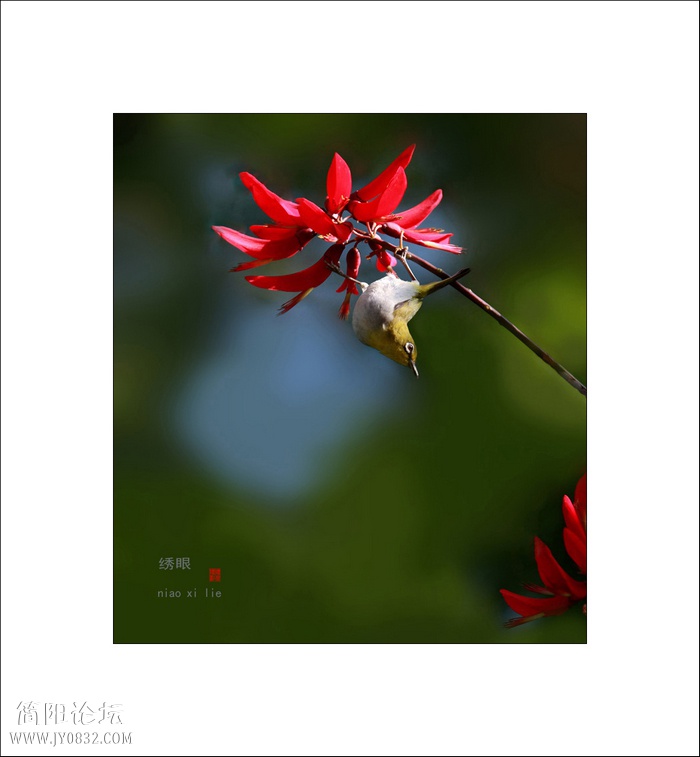 IMG_7835b0.jpg