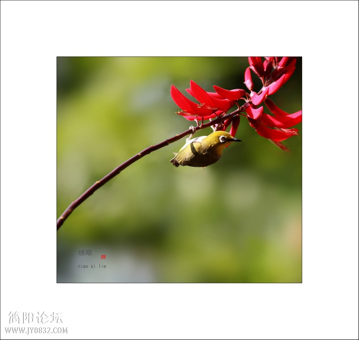 IMG_8674b0.jpg