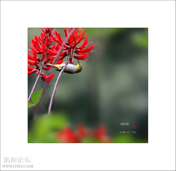 IMG_9158b0.jpg