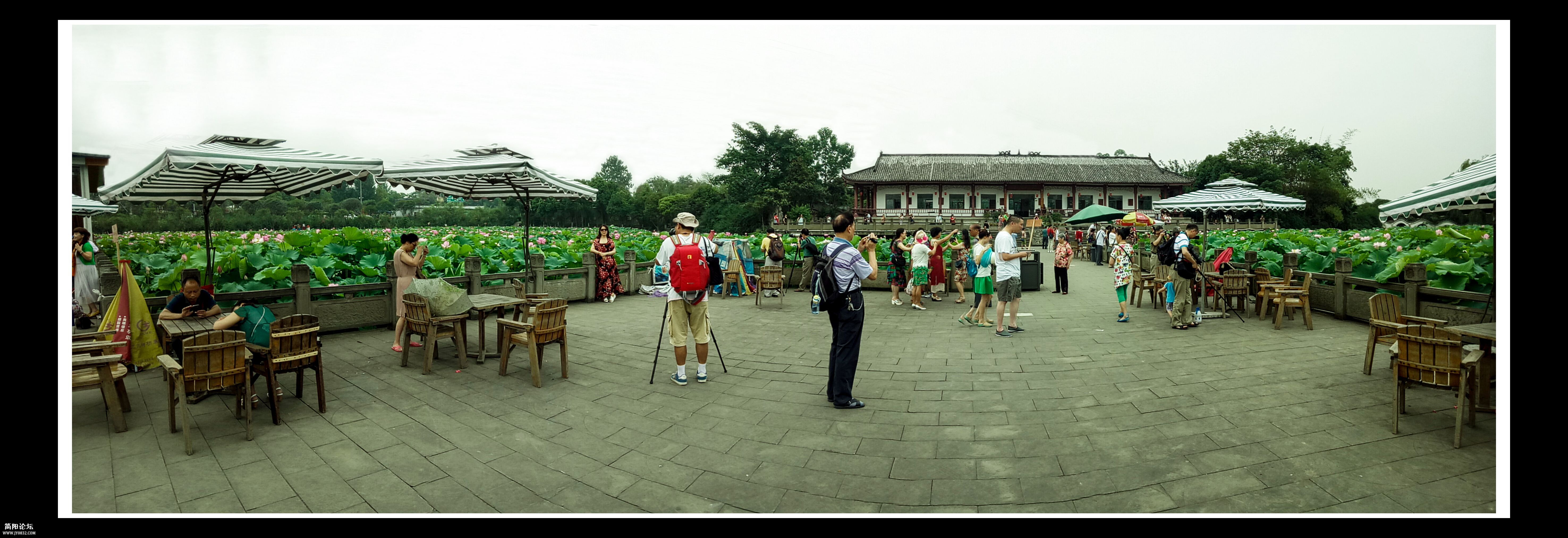 IMG20150622100226.jpg