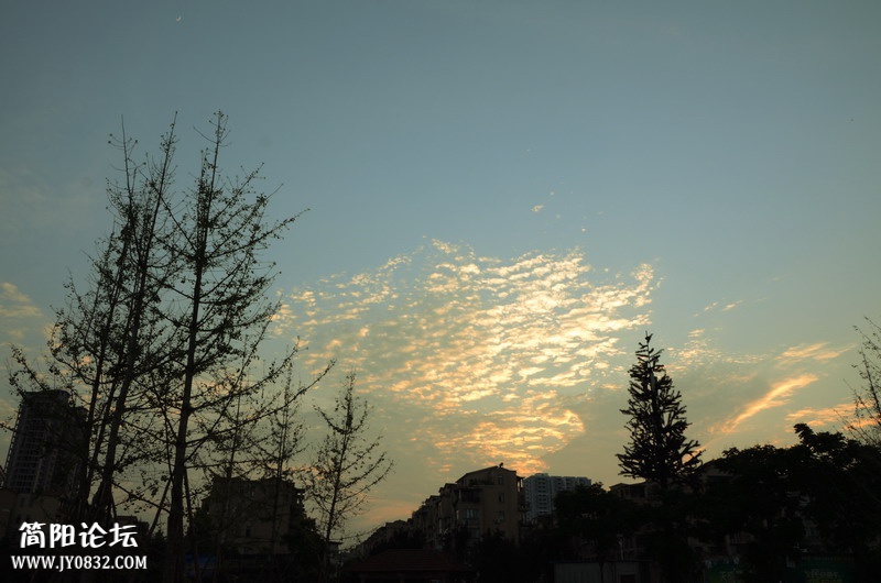 DSB_0708.jpg