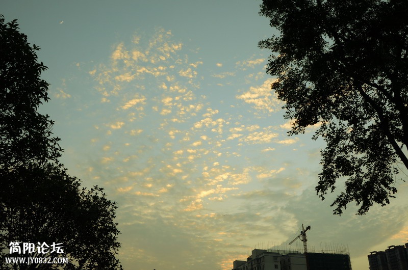 DSB_0717.jpg