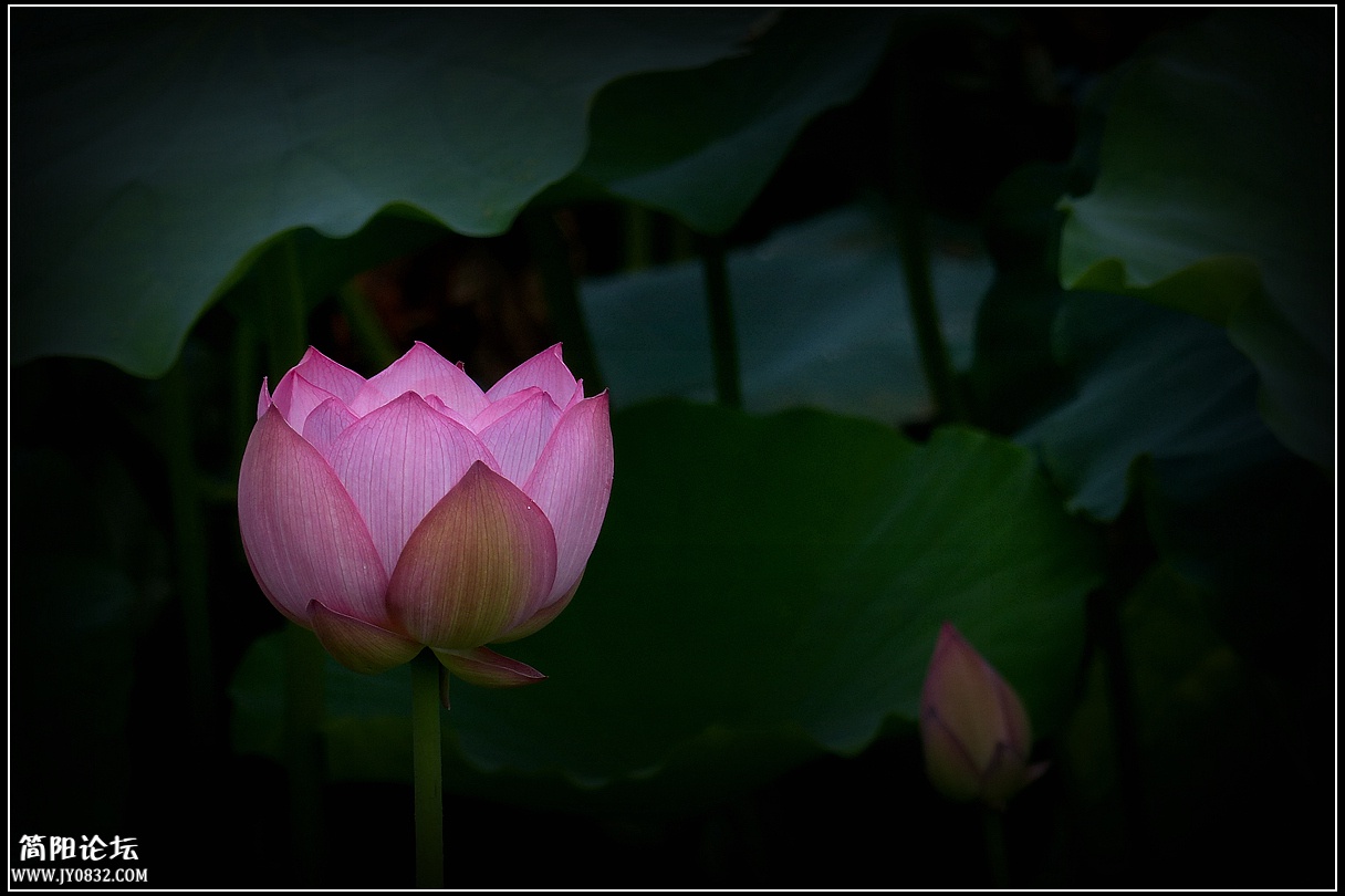 P1650511_副本.jpg