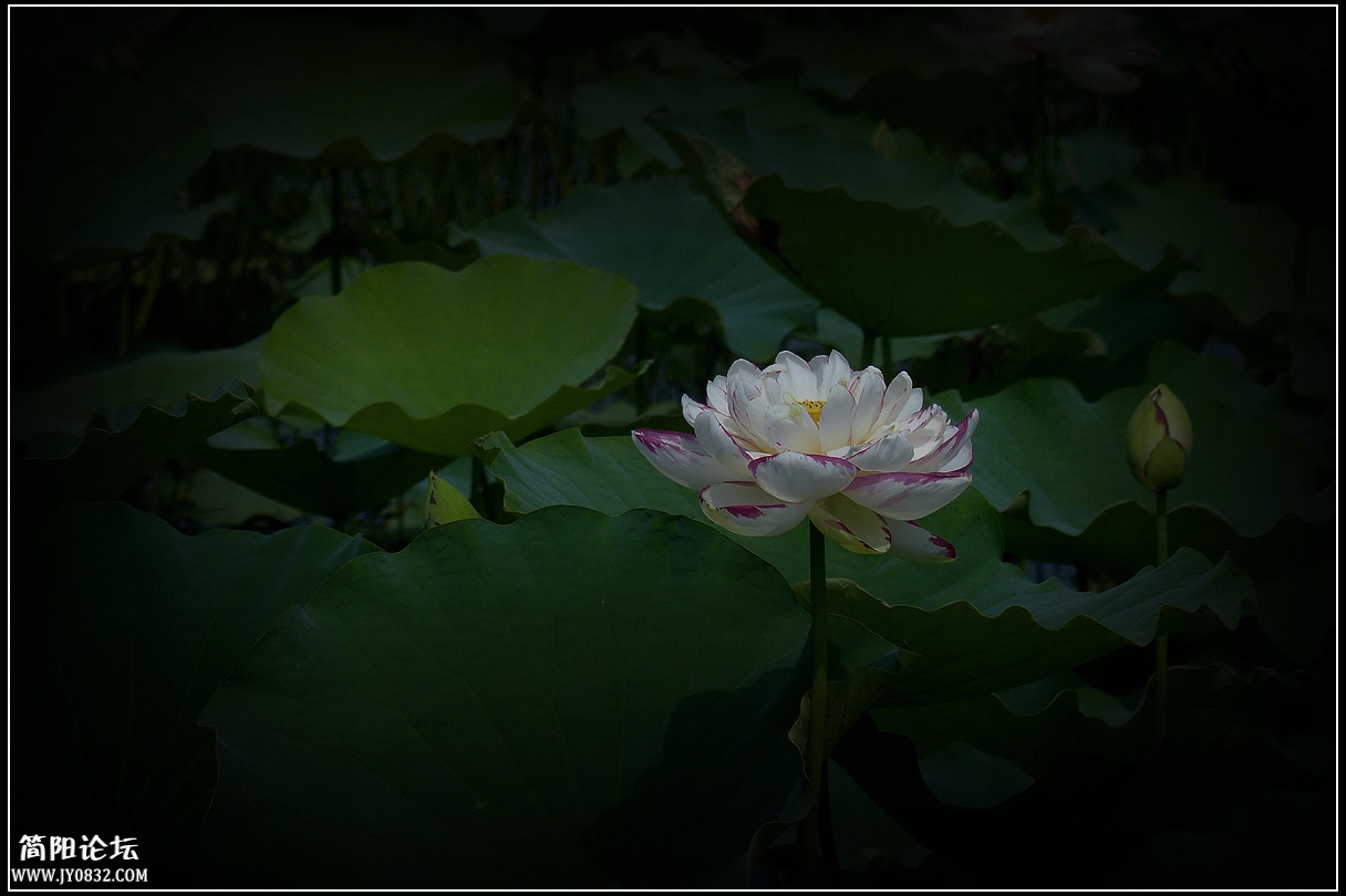 P1650529_副本.jpg