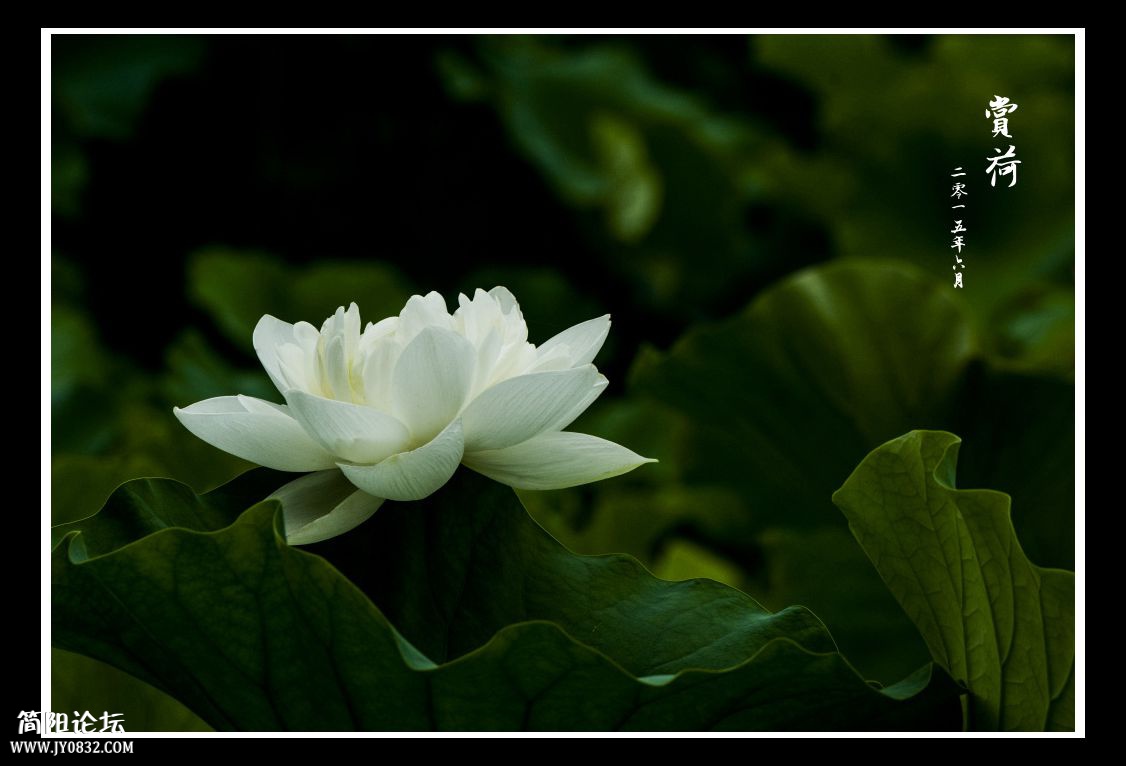 DSC_1253.jpg