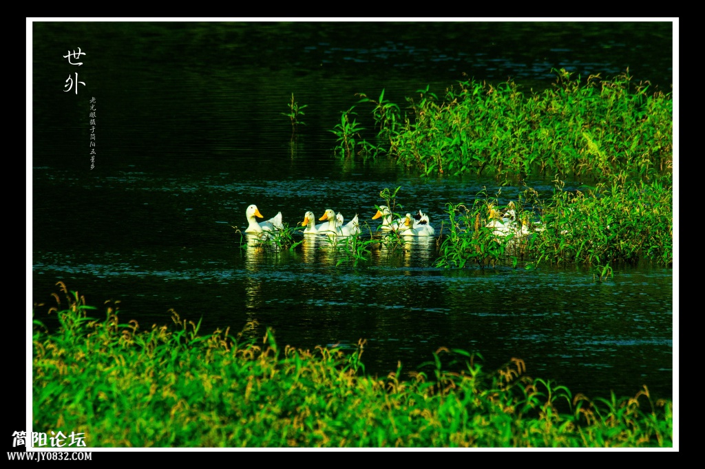DSC_1124.jpg