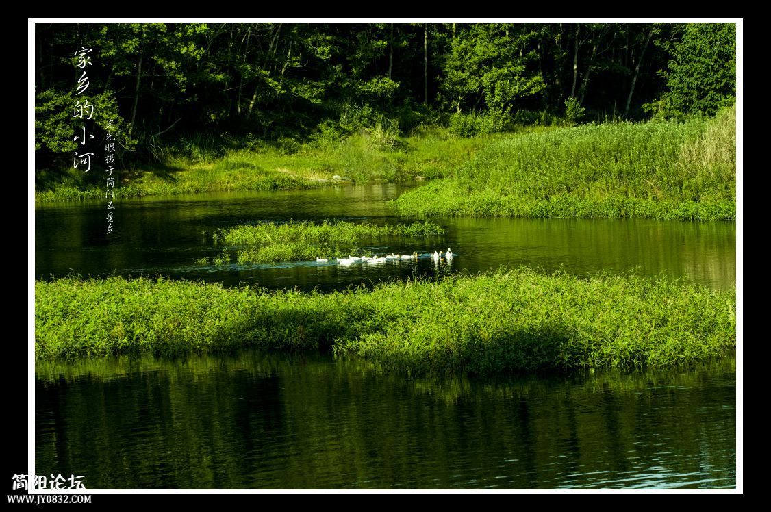 DSC_1128.jpg